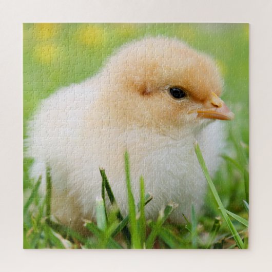 Puzzle Enfant poussin printemps (Vertical)