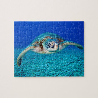 Puzzle Enfants sous l'eau 110 pièces Tortue de mer Jigsaw