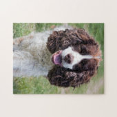 Puzzle English Springer Spaniel (Horizontal)
