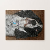 Puzzle English Springer Spaniel Pet Photo (Horizontal)