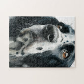 Puzzle English springer spaniel portrait with ticking (Horizontal)