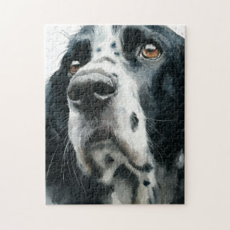 Puzzle English springer spaniel portrait with ticking