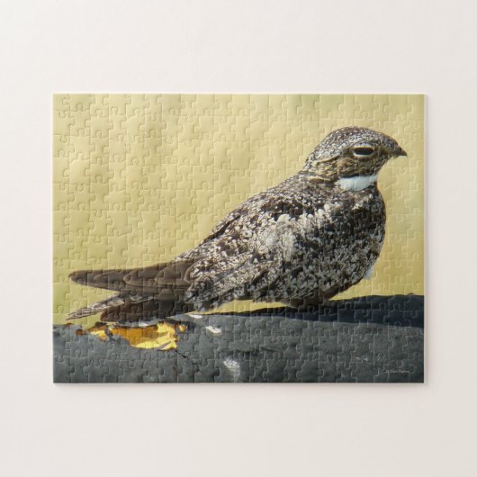 Puzzle Engoulevent commun B29 (Horizontal)