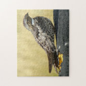 Puzzle Engoulevent commun B29 (Vertical)