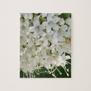 Puzzle Énigme des fleurs douces de montagne