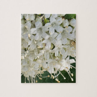 Puzzle Énigme des fleurs douces de montagne