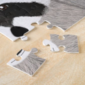 Puzzle Énigme des ratons laveurs (Côté)