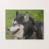 Puzzle enroué de chien (Horizontal)