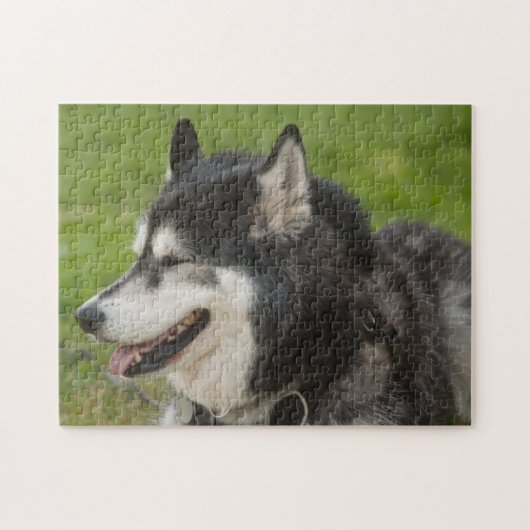 Puzzle enroué de chien (Horizontal)