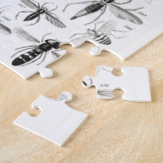 Puzzle Entomologie noir et blanc Insectes Bugs Papier Pla (Côté)
