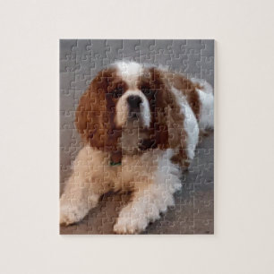 Puzzle Épagneul cavalier adorable du Roi Charles