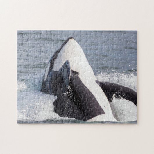 Puzzle Épaulard faisant une cabriole (Horizontal)