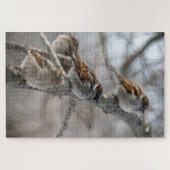 Puzzle Éperviers de la maison sur la branche (Horizontal)