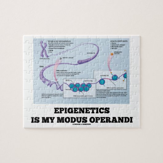Puzzle Epigenetics est mon mode de fonctionnement (les (Horizontal)