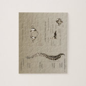 Puzzle Épine (Vertical)