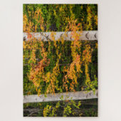 Puzzle Érable et bouleau | White Mountains, NH (Vertical)