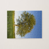 Puzzle Érable solitaire dans le champ de foin de Raymond (Horizontal)