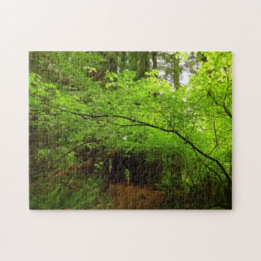 Puzzle Érables dans la forêt de séquoias (Horizontal)
