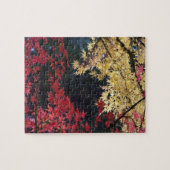 Puzzle Érables en couleur d'automne (Horizontal)