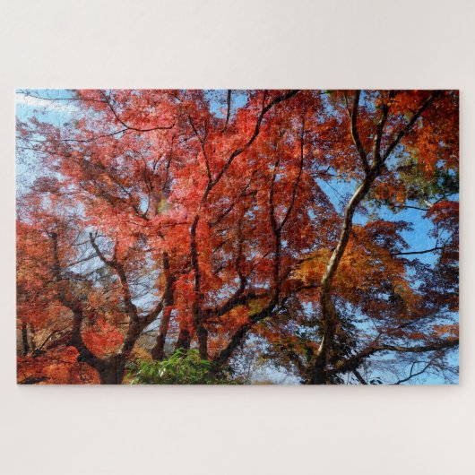 Puzzle Érables Japonais (Horizontal)