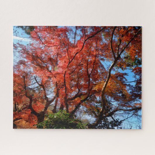 Puzzle Érables Japonais (Horizontal)