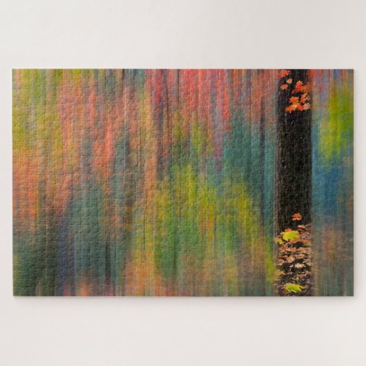 Puzzle Érables | Silver Falls State Park (Horizontal)