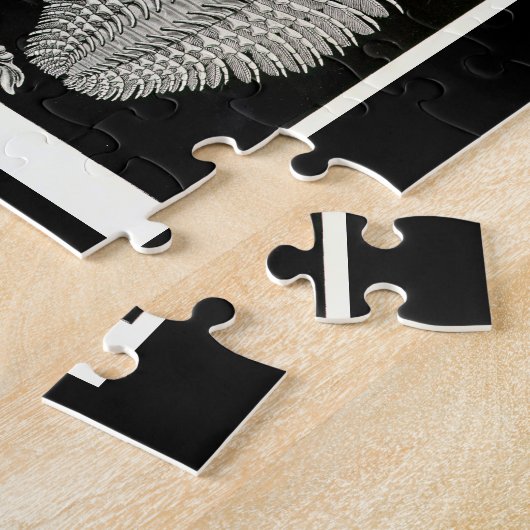 Puzzle Ernst Haeckel Aspidonia (Côté)
