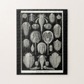 Puzzle Ernst Haeckel Aspidonia (Vertical)