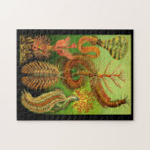 Puzzle Ernst Haeckel Chaetopoda (Horizontal)