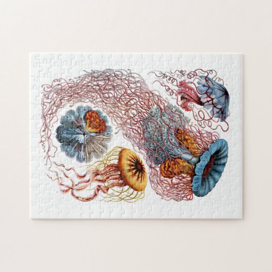 Puzzle Ernst Haeckel Discomedusae (Horizontal)