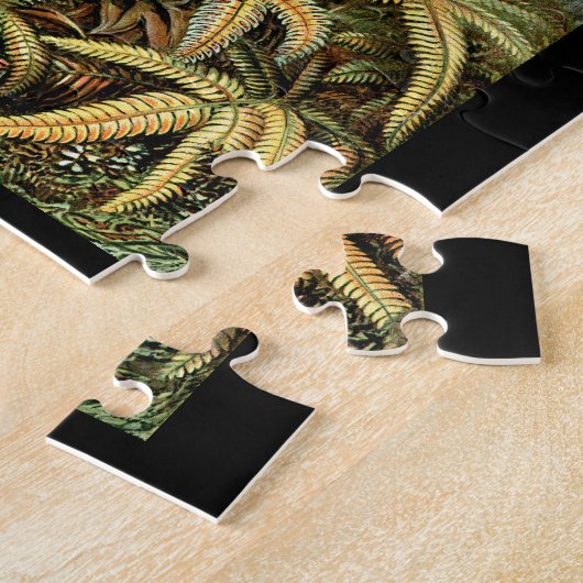 Puzzle Ernst Haeckel Filicinae (Côté)