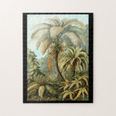 Puzzle Ernst Haeckel Filicinae (Vertical)