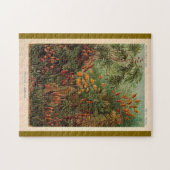 Puzzle Ernst Haeckel Muscinae illustration vintage (Horizontal)