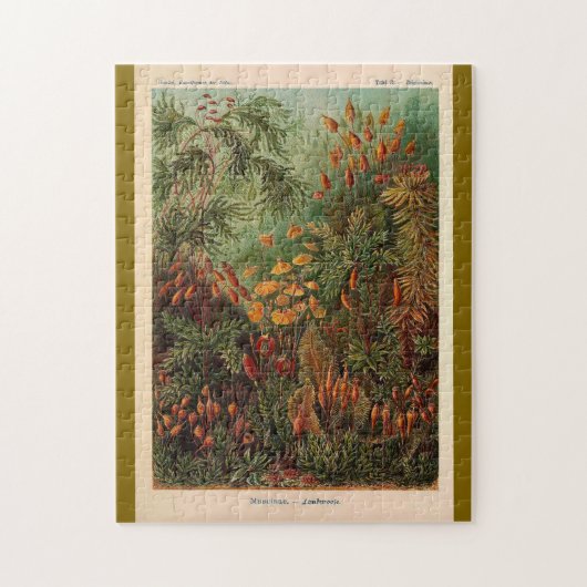 Puzzle Ernst Haeckel Muscinae illustration vintage (Vertical)