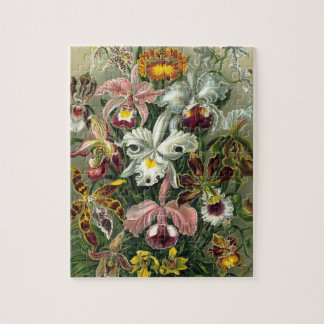 Puzzle Ernst Haeckel Orchids, Vintage Rainforest Flowers