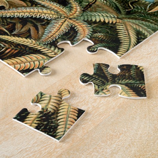 Puzzle Ernst Haeckel's Filicinae (Arbres Fermes) Jigsaw P (Côté)