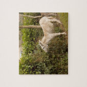 Puzzle errant de photo de nouveau poney de forêt (Vertical)