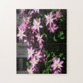Puzzle Escalade Clematis Fleurs de printemps violettes (Vertical)