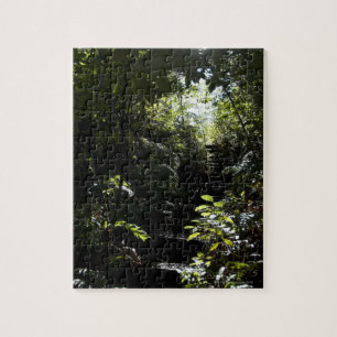 Puzzle Escalier/sentier piéton rustiques dans la forêt,