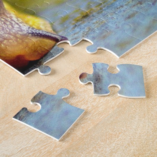 Puzzle Escargot (Côté)