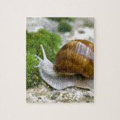 Puzzle Escargot de Bourgogne (Vertical)