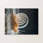 Puzzle Escargot Fantaisiste et Bubbly (Horizontal)