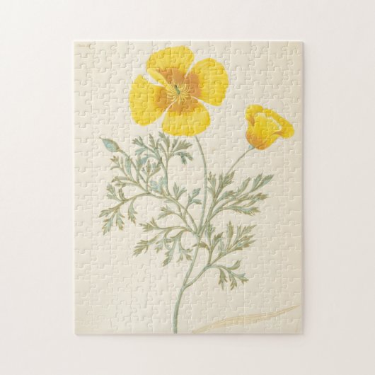 Puzzle Eschscholtzia californien (Vertical)