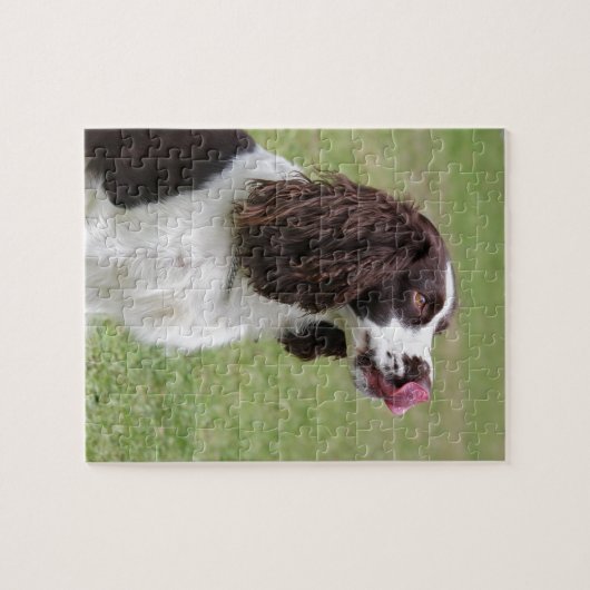 Puzzle Espagnol Springer anglais assis (Horizontal)