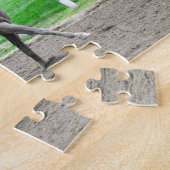 Puzzle Et ils sont éteints chez Saratoga (Côté)