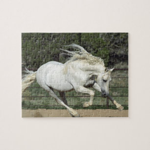 Puzzle Étalon andalou en course, PR