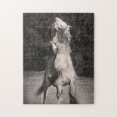 Puzzle Étalons de danse (Vertical)