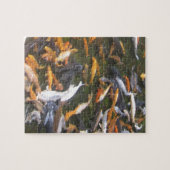 Puzzle étang à poissons (Horizontal)