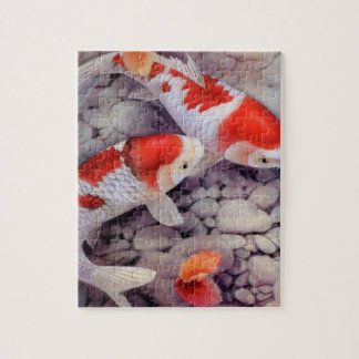 Puzzle Étang à poissons rouge et blanc de Koi