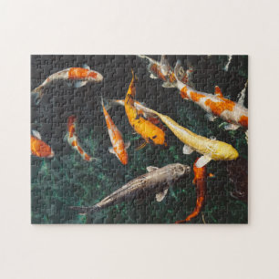 Puzzle Etang de poisson asiatique Koi orange et blanc
